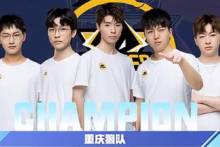 疑是猛龙队