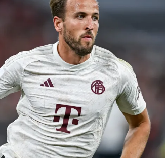 所需要的 所需要的