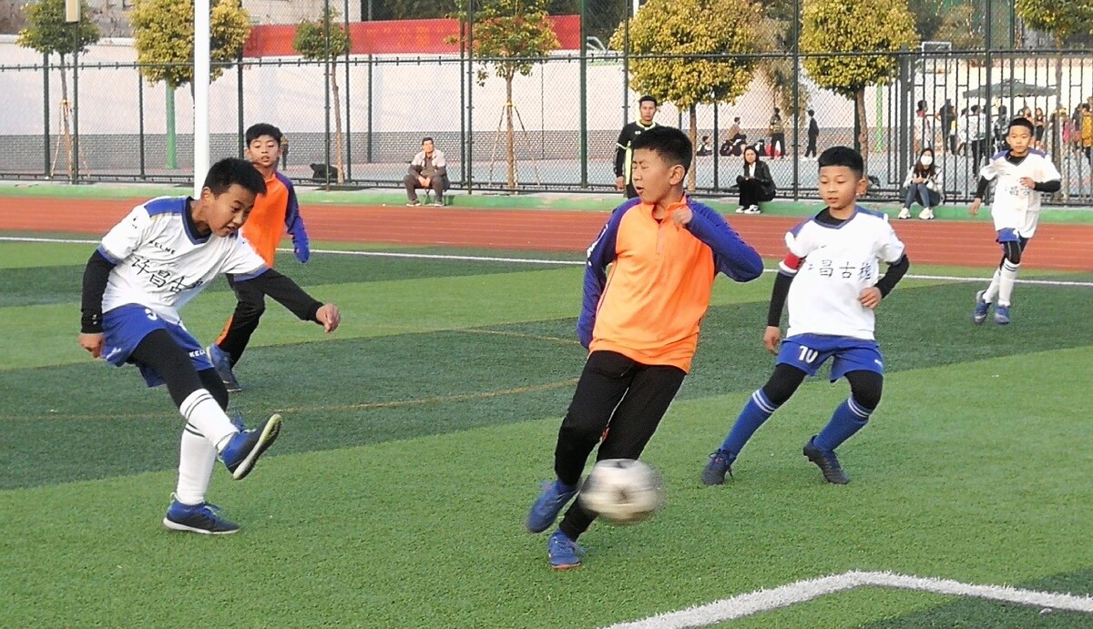 体育团队以 体育团队以