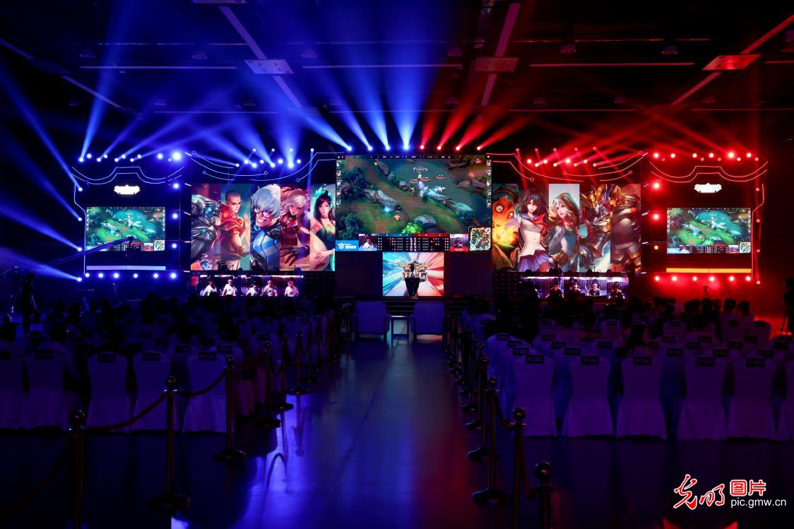 动会作为区 动会作为区